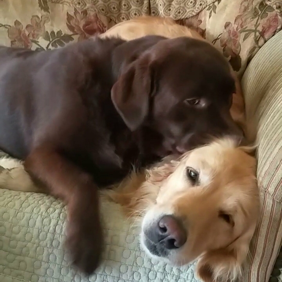 Meet your Posher, Jiyoon - Picture 1 of 1